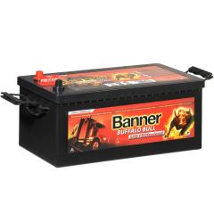 Banner Buffalo Bull 12V 225Ah / BC_SHD PRO 725 03